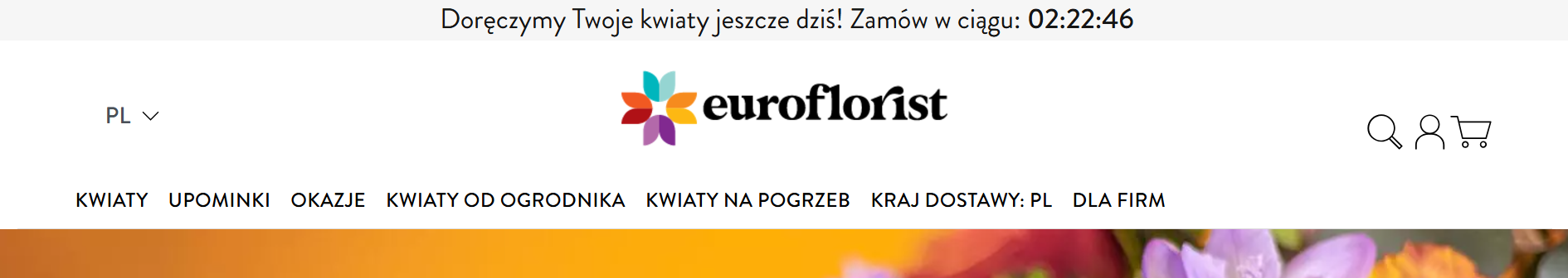 euroflorist-odliczanie